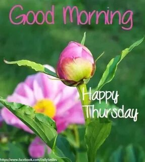 Thursday morning