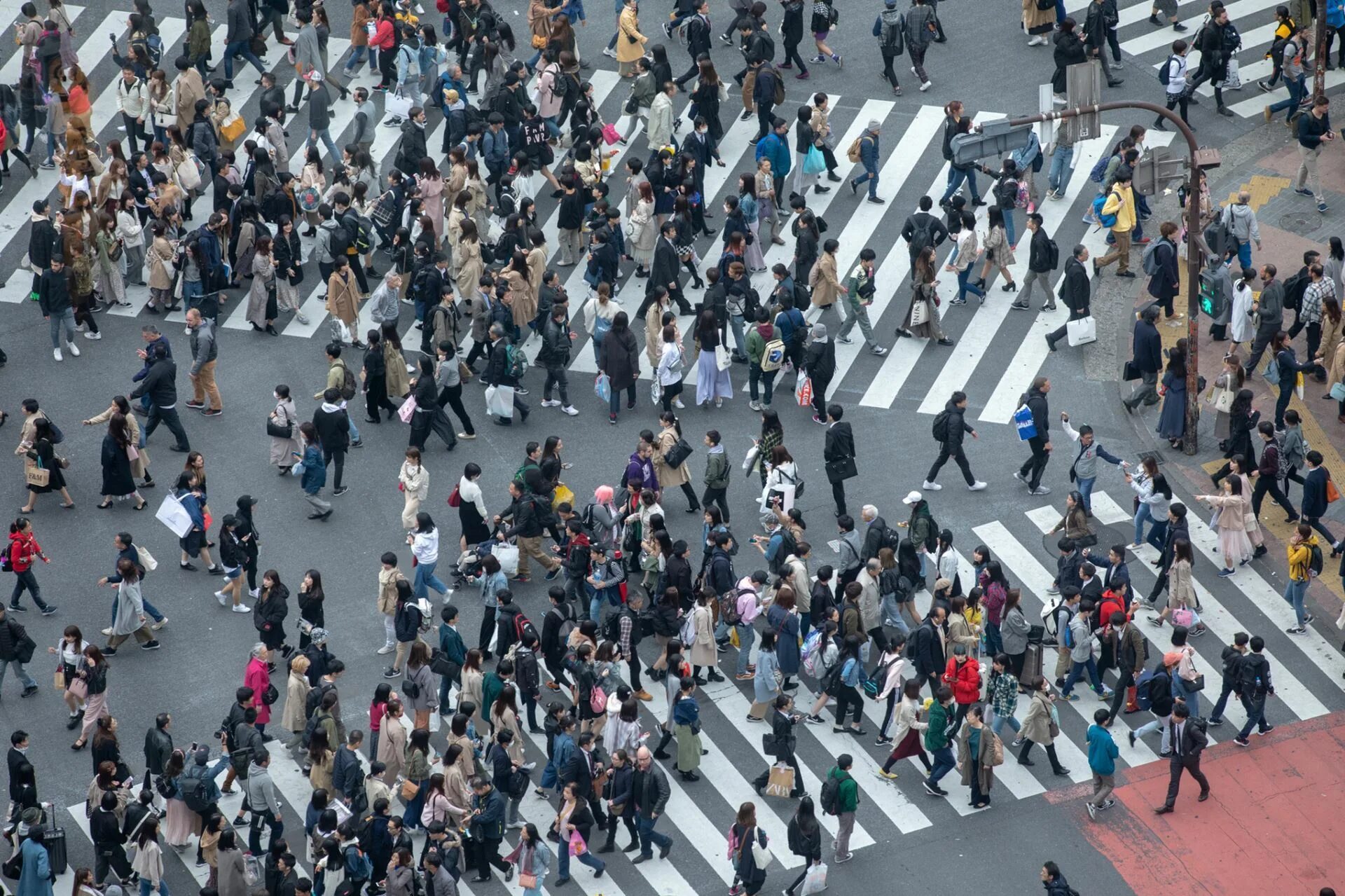 Численность занятого населения японии. Население Токио на 2022 численность населения. Токио перенаселение. Население Японии. Токио население.
