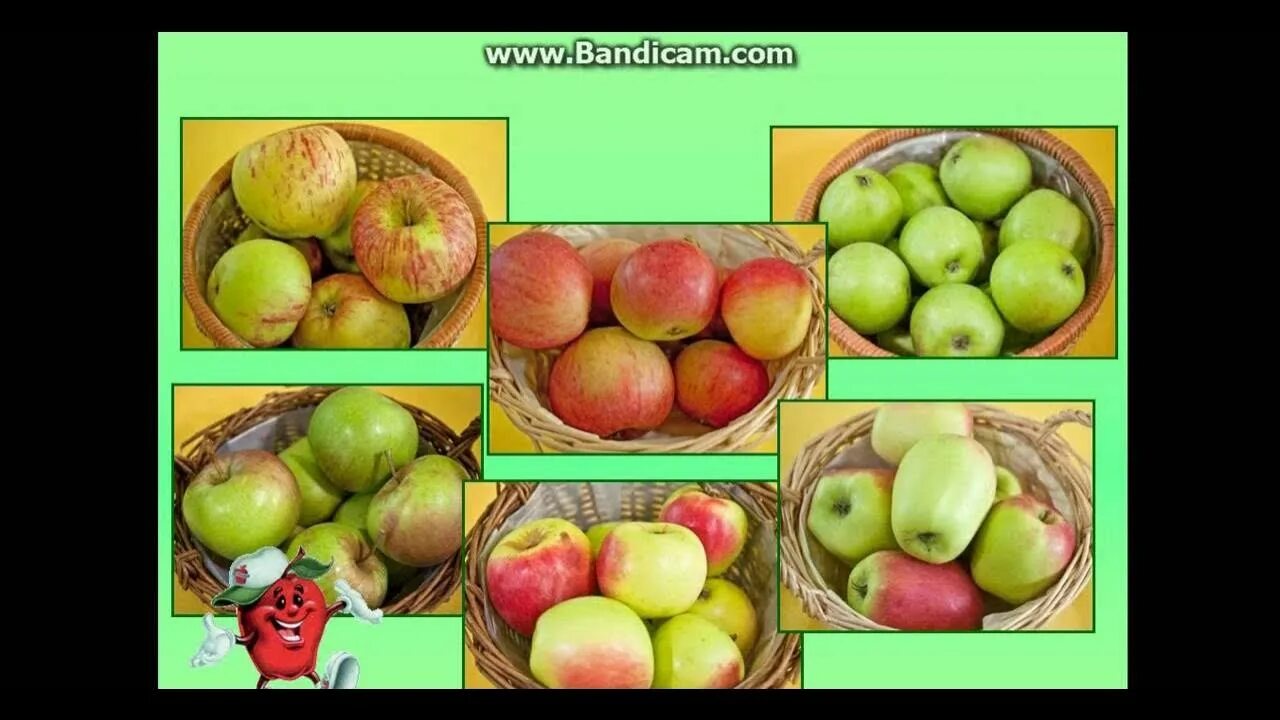 How much apples are there. День яблока в англии. сорта яблок в англии. kinds of apples. день яблока (сша).