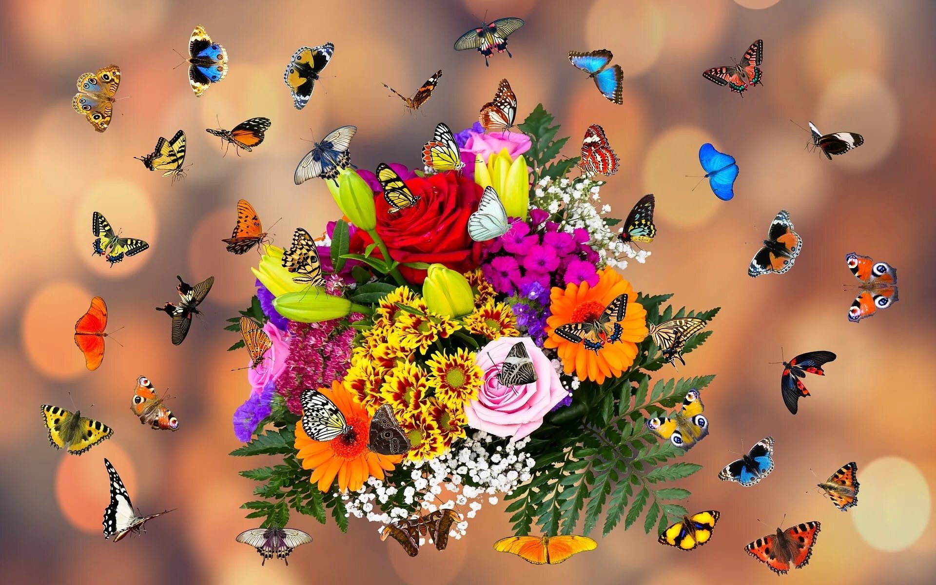 Бабочка на цветке. Букет цветов с бабочками. Много бабочек. Красивый букет цветов с бабочками. Красивые цветы с бабочками
