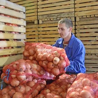 Вакансии курган без опыта