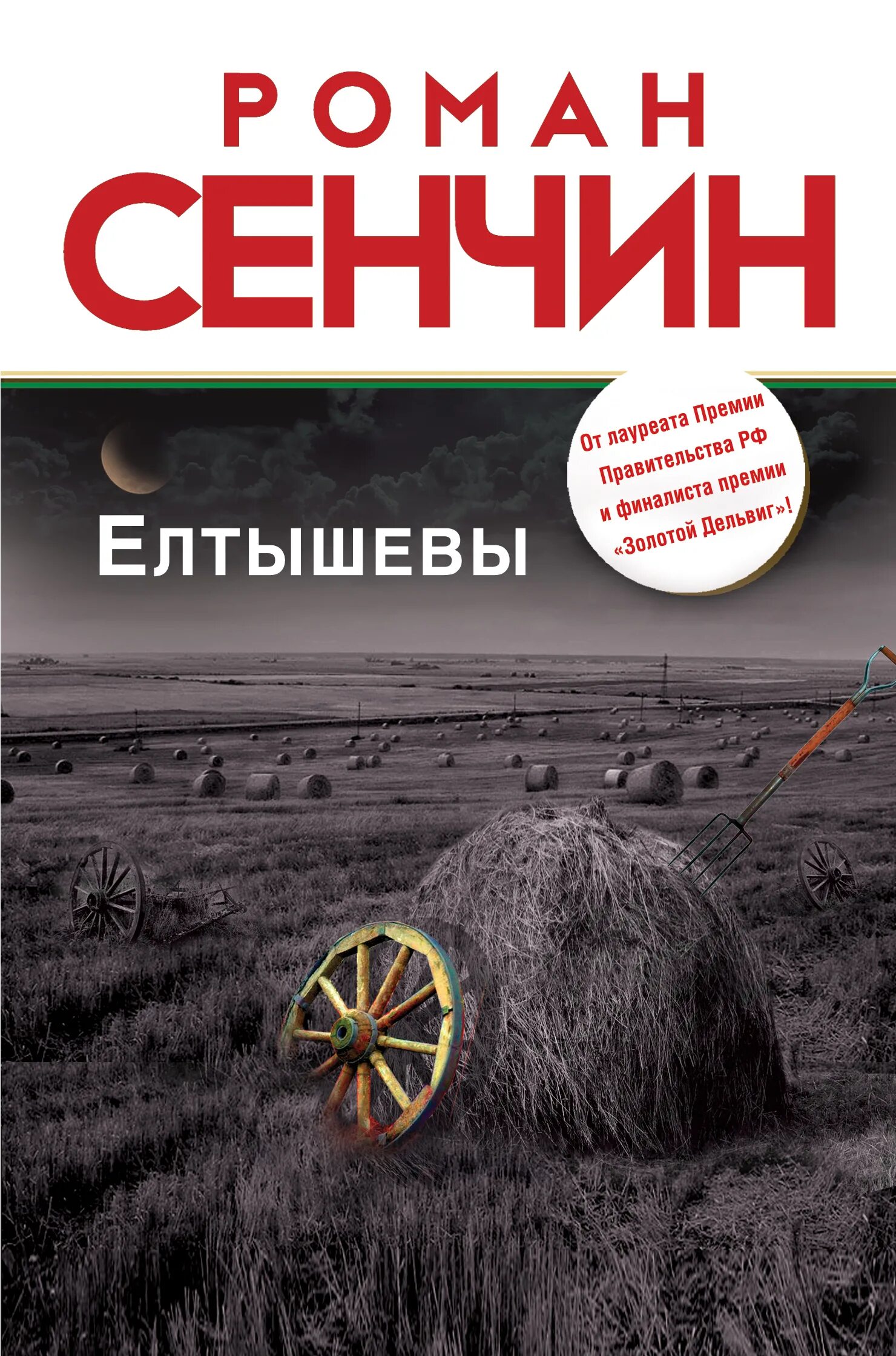Елтышевы книга. Елтышевы книга. Елтышевы книга. Сенчин елтышевы. Сенчин елтышевы.