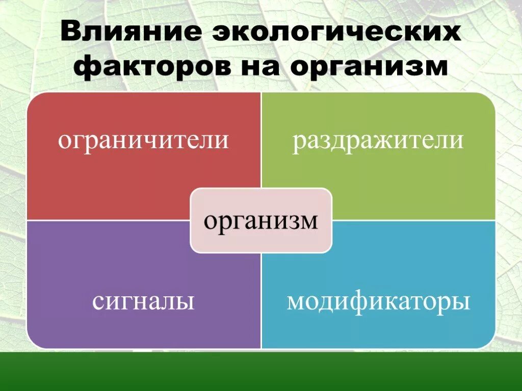 Влияние экологические факторы 9 класс биология. Влияние экологических факторов. Влияние экологических факторов на организмы. Экологические факторы модификаторы. Группы экологических факторов.