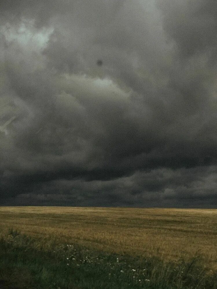 Серое небо петербурга. Пасмурный предложение. Хмурое небо. Пасмурный предложение. Хмурый питер.