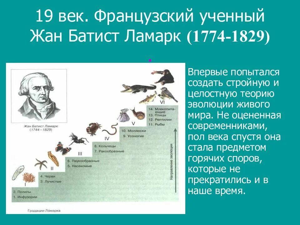 Как называют процесс исторического развития живой природы. Эволюционное учение жана Ламарка. Эволюция ж б Ламарка. Эволюционное учение жана Батиста Ламарка.