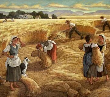 Harvest around the world