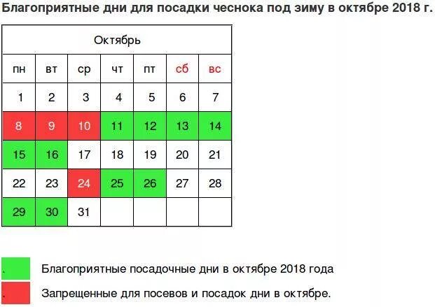 Самые благоприятные дни в ноябре. Благоприятные дни для посадки чеснока. благоприятные дни для посадки посадки чеснока. благоприятные дни в октябре для посадки чеснока под зиму. благоприятные для посадки чеснока в октябре.