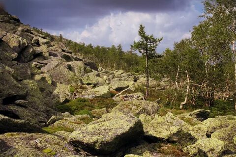 Тулая