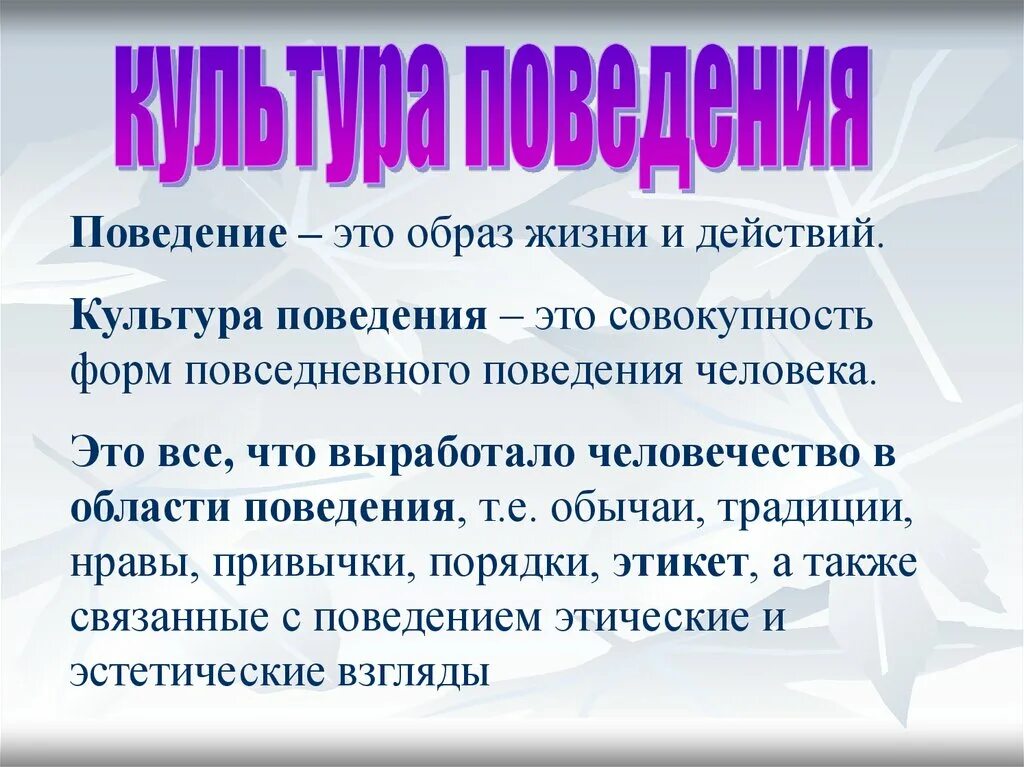 Культура поведения значение