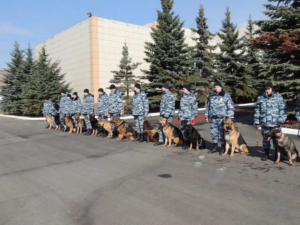 Кинолог центр. ЦКС УВД по СВАО. Кинологи УВД по ВАО. Кинологи МВД СВАО. Кинологический центр МВД Восточное Измайлово.