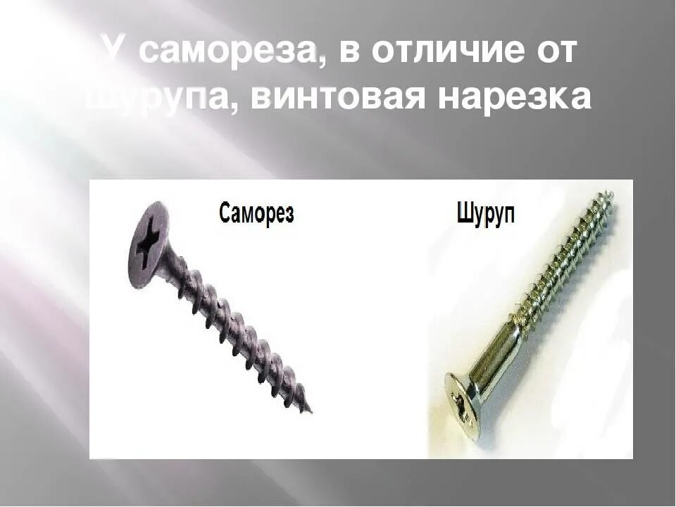 Шуруп является. Винт шуруп саморез отличия. винт болт шуруп саморез отличие. шуруп и саморез разница. отличие шурупа от самореза.