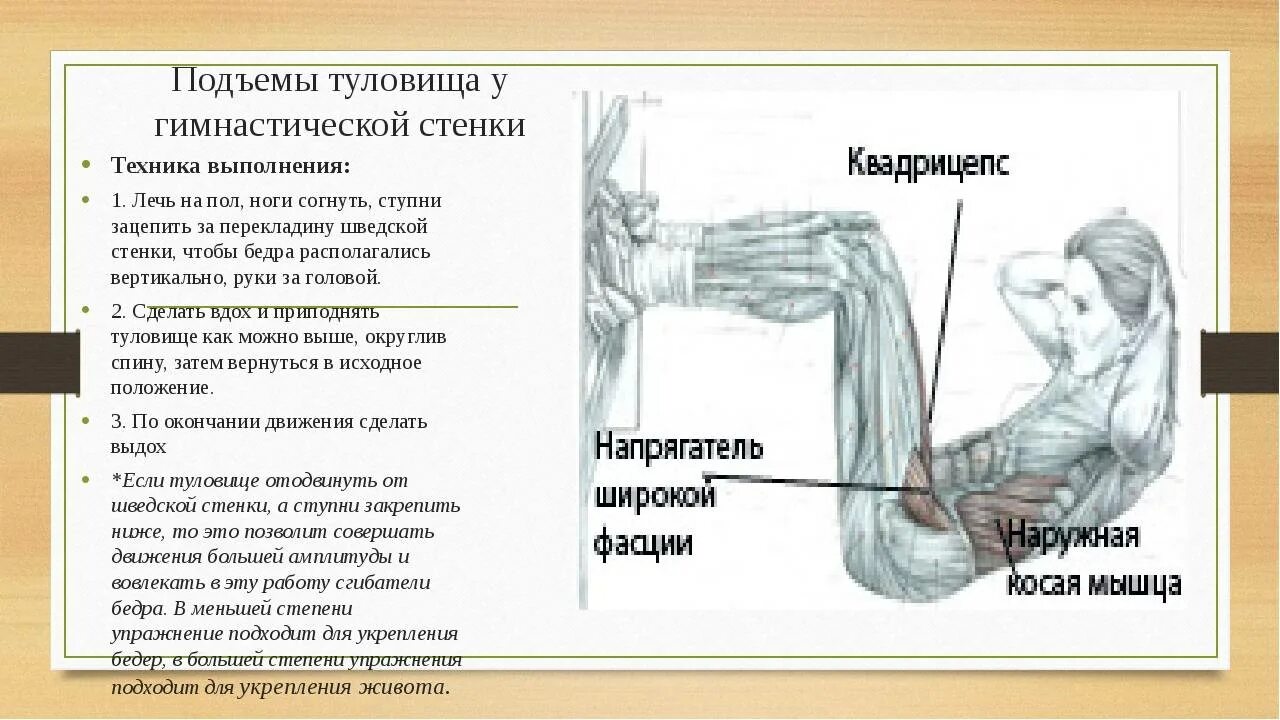 Подъем 7. Техника выполнения поднимания туловища. Упражнение на пресс поднимание туловища. Техника выполнения подъема туловища. Упражнение подъем из положения лежа туловища.