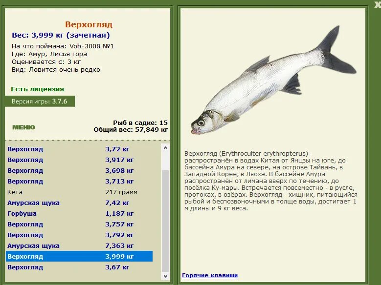 Какую рыбу можно поймать в апреле. На что ловится Верхогляд. Верхогляд рыба на что ловится. Русская рыбалка финский залив. Где водится Верхогляд.