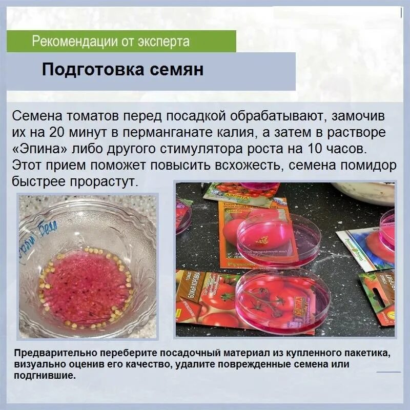 Как замочить семена перца и помидор