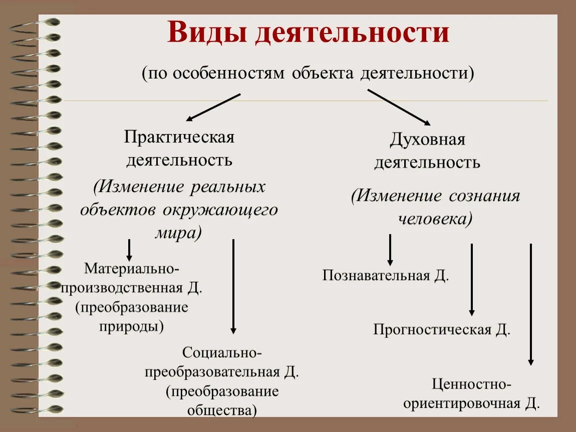 Примеры основных видов деятельности