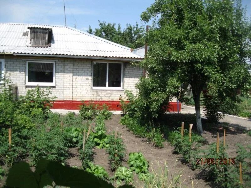 Дом в минераловодском районе. Домик в минеральных водах. Село побегайловка ставропольский край. Дом в минераловодском районе. Дом в минераловодском районе.