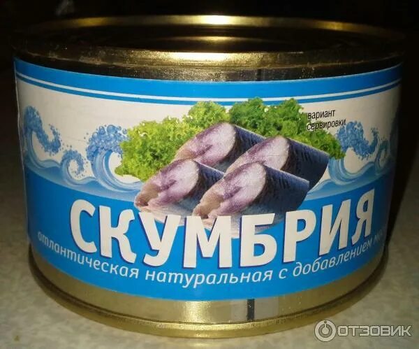Сардина балт фиш. Фиш плюс. Ооо балт фиш плюс. Балт фиш плюс. Тунец балт фиш плюс.