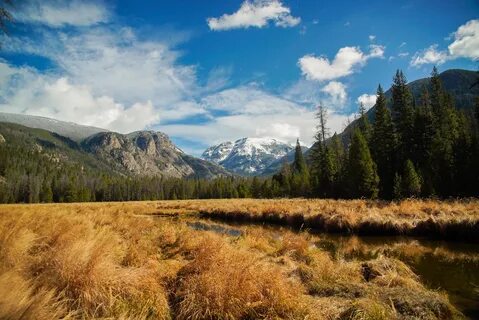 Mountain environment