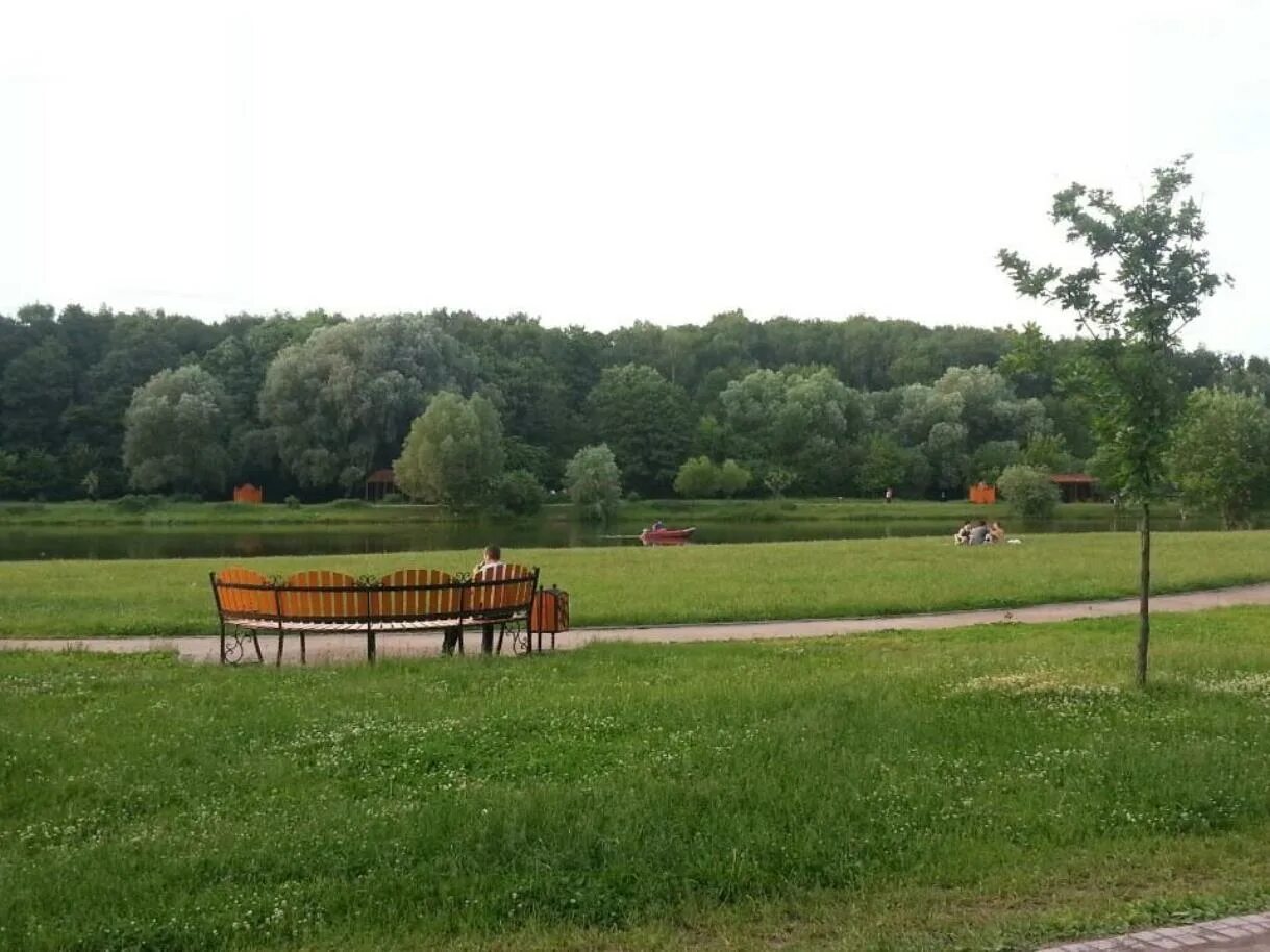 Терлецкий парк пруды. Пляж москва терлецкий лесопарк фото. Терлецкий парк москва. Парк в перово терлецкий. Терлецкий лесопарк москва.
