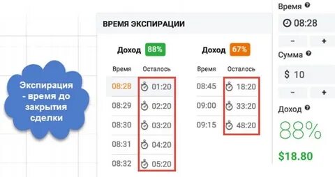 Экспирация это