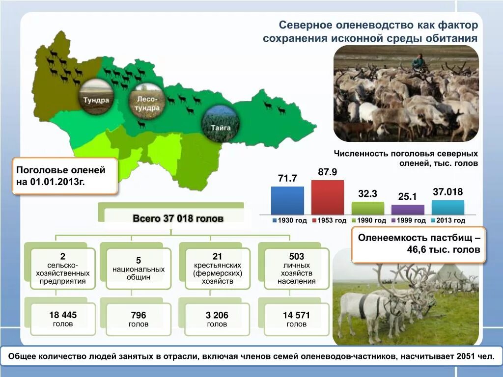 Животноводство природные зоны