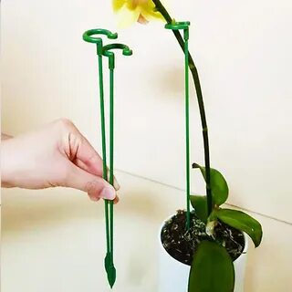 Цвета держатель