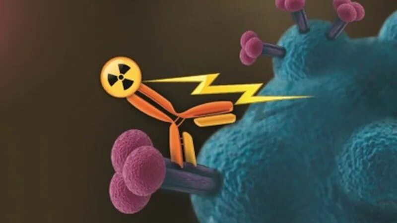 Радиоиммунотерапия. Радиоиммунная терапия в онкологии. Радиоиммунотерапия презентация. Радиоиммунотерапия с использованием -излучателей.