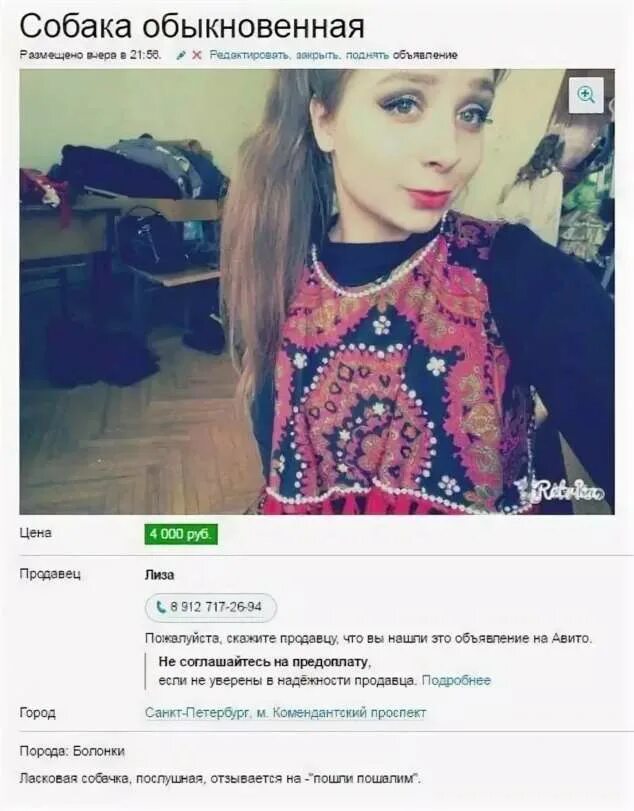Фотографии на авито. Смешные объявления на авито. Смешные объявления девушек авито. Авито девушки. Авито девочки.