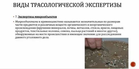 Сроки криминалистической экспертизы