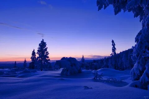 Зимняя природа вечером