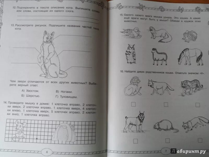 Комплексная работа 3 класс с ответами 2024. Комплексная работа 1 класс. Комплексные задания для первого класса. Комплексные задания класс 1 класс. Комплексная контрольная для первого класса.