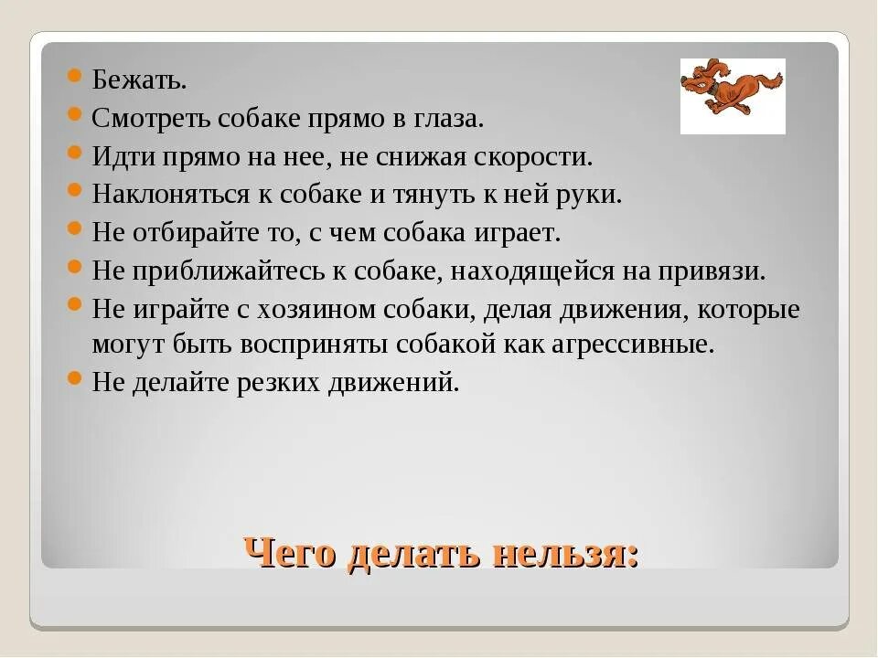 Ответственность за укус собаки. Что делать если укусила собака. Что делать если собака укусила человека. Памятка если тебя укусила собака. Чтделатукуксила собак.