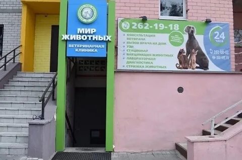 Ветклиника мир животных
