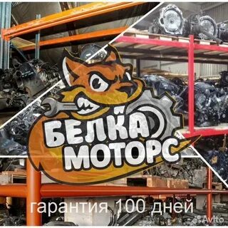 Белка маркет