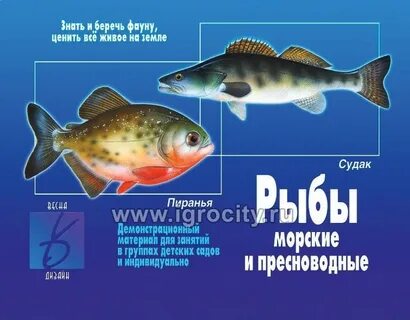 5 морей рыба