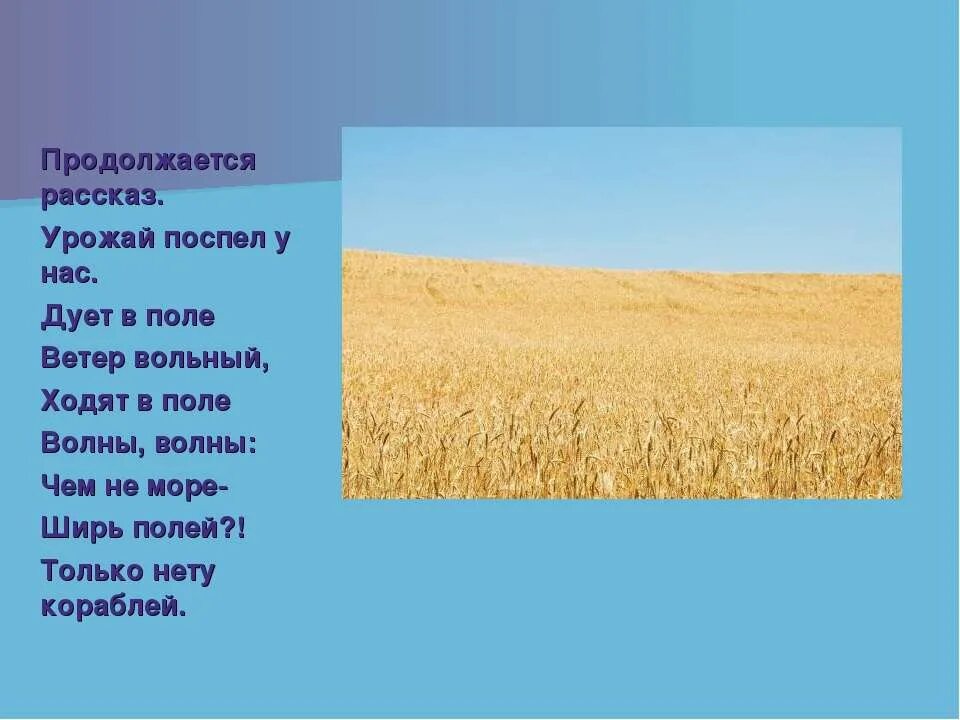 Поля для доклада. Поле для презентации. Рассказ о поле. Поля для доклада. Поле искусственное сообщество.