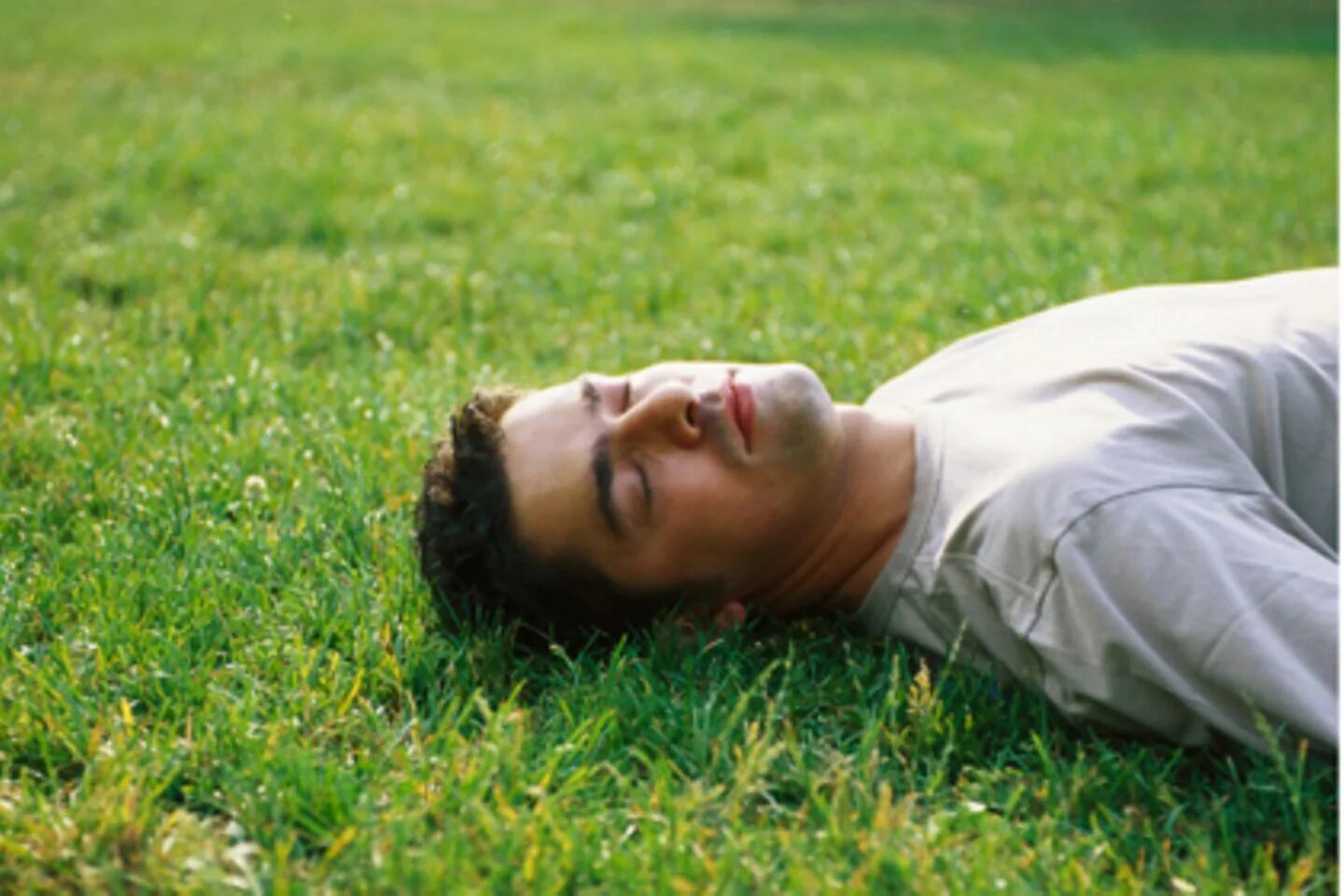 Lying grass. Lying grass