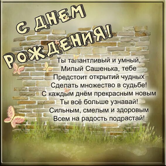 поздравление саше с днем рождения прикольные
