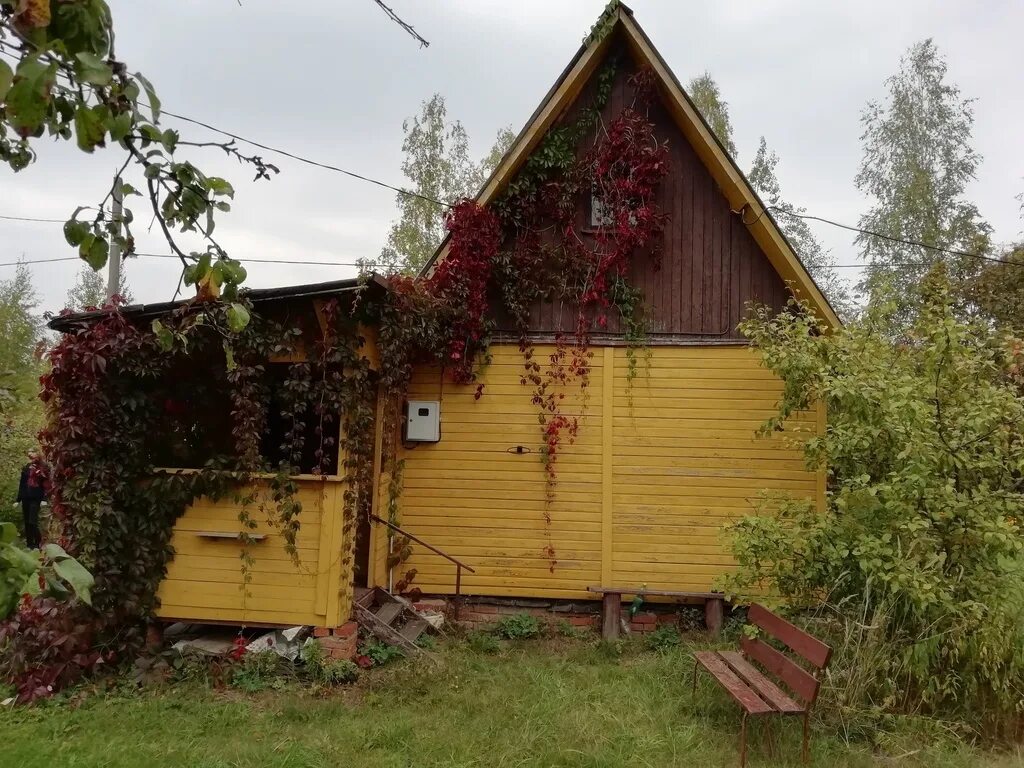 Павловские дачи лотошино. Павловские дачи погода почасовая. Павловские дачи погода почасовая. Деревня евсеево. Павловские дачи погода почасовая.