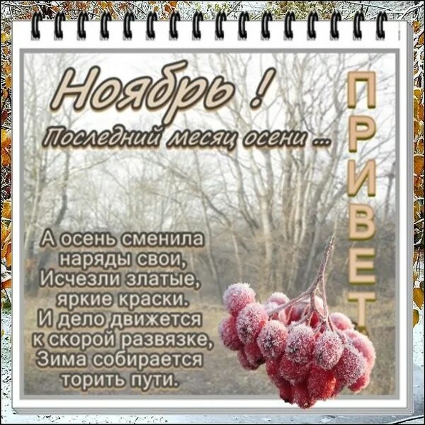 Ноябрь первое число