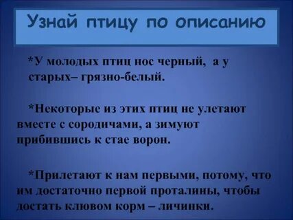 Описание молодого