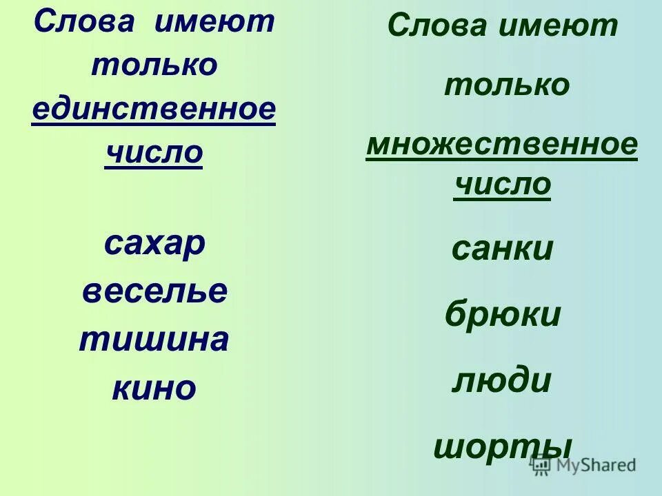 Слова в единственном числе. Слова которые в единственном числе. Единственное или множественное. Слова в единственном и множественном числе. Потемки единственное или множественное