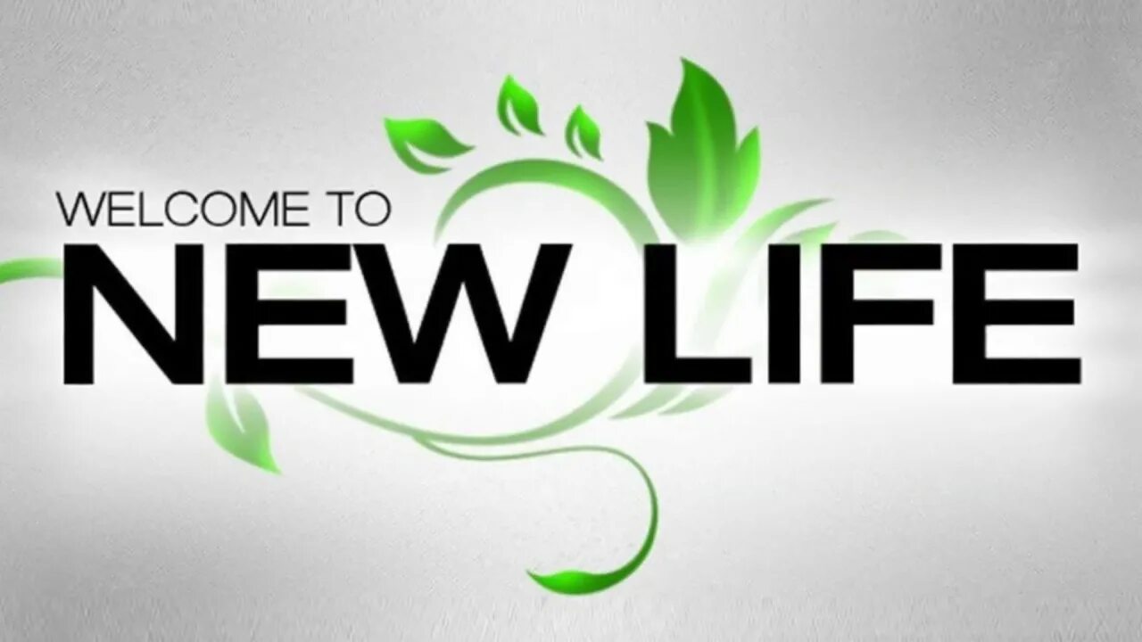 New life фф