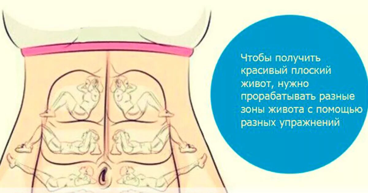 Убрать низ живота. Упражнения для плоского живота. Упражнения для плоского живота внизу. Упражнения для нижней части живота. Веса в области живота и