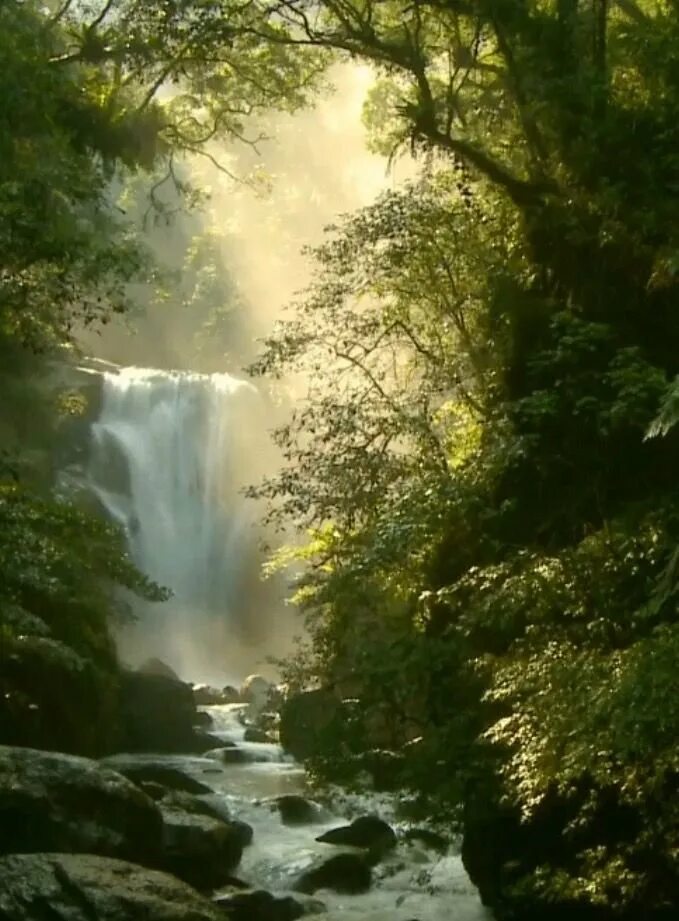 Красивая гиф видео. Природа. Красота природы. Живая природа водопады. Пейзаж водопад.