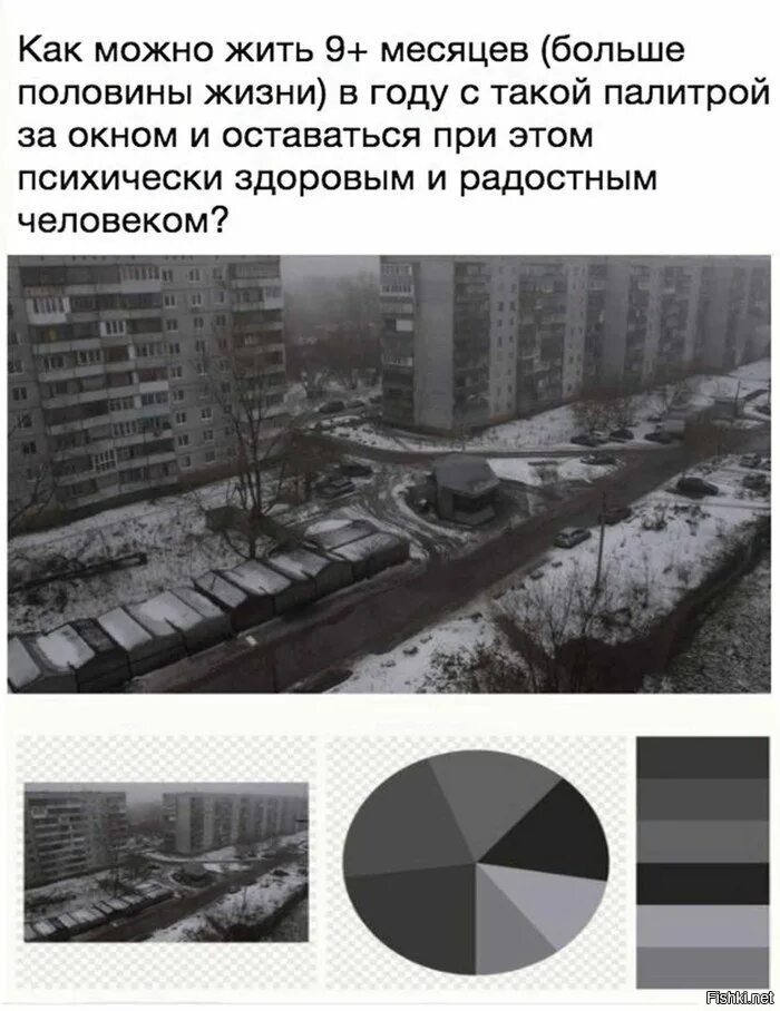 Живем месяц