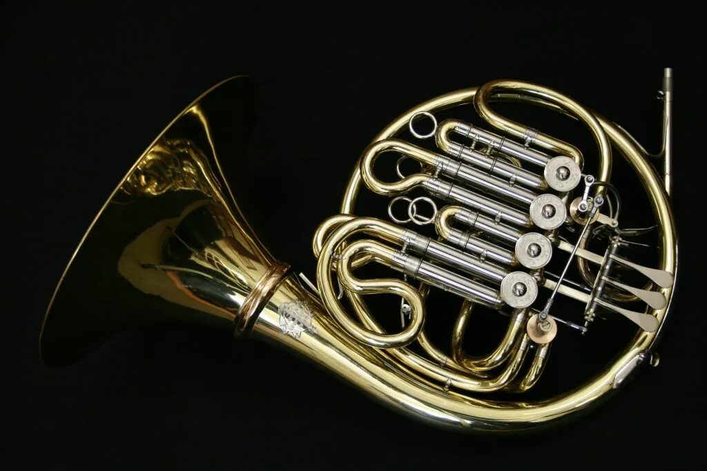 Валторна какой музыкальный инструмент. Серебряная валторна alexander mainz 107. french horn. валторна черная. кяввм валторна.