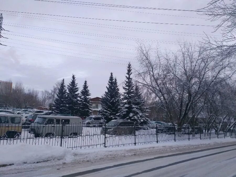 В Красноярске 28 сентября потеплеет до +15 градусов - Сибновости