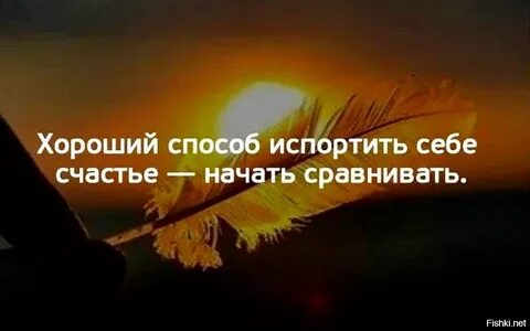 Счастье для начинающих