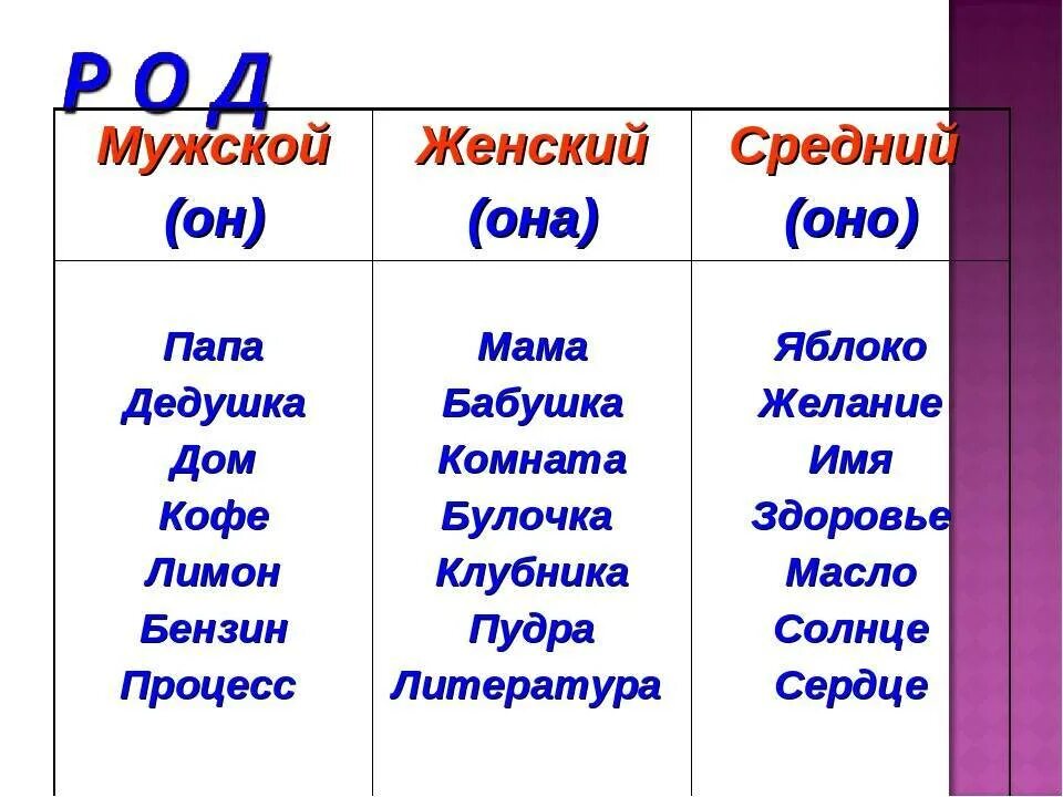 Род слова известная. Слова мужского рода. существительные среднего рода. слова в среднем роде. слова мужского женского и среднего рода.